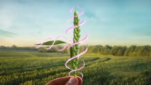 маркетинг за земеделски фирми marketing for agro company